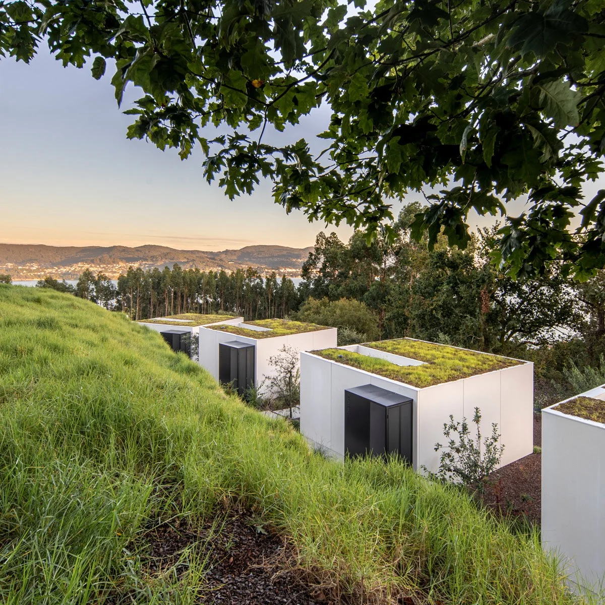 Ver ficha completa del proyecto Hotel de la Naturaleza Pepe Vieira Poio
